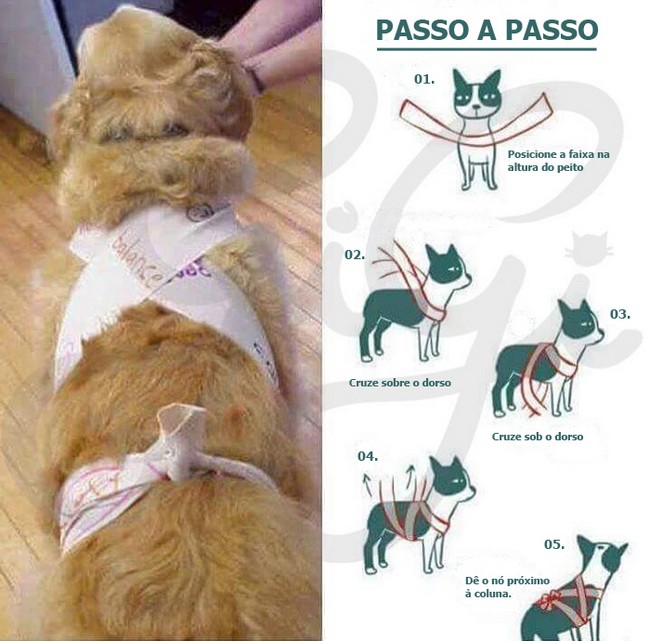 pano colete cachorro fogos de artif&iacute;cio