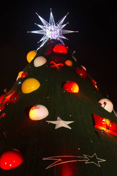 &Aacute;rvore de Natal do Parque do Ibirapuera em 2014, com 54 metros de altura