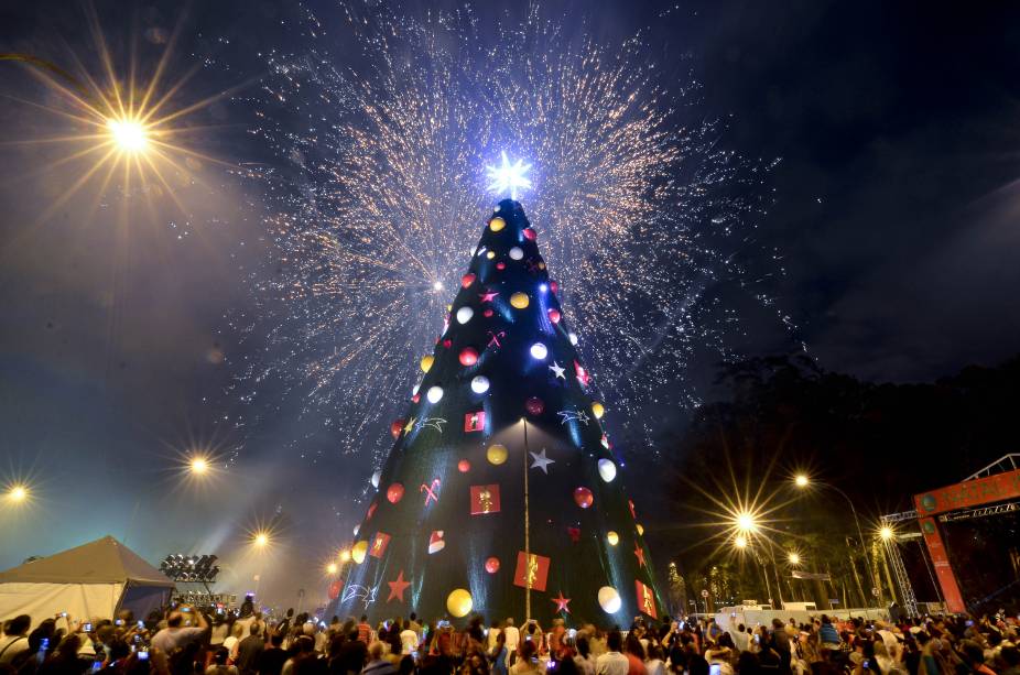 Paulistanos acompanharam a inauguração da árvore de Natal, que contou com queima de fogos e show de Toquinho, em 2014 Paulistanos acompanharam a inauguração da árvore de Natal, que contou com queima de fogos e show de Toquinho, em 2014