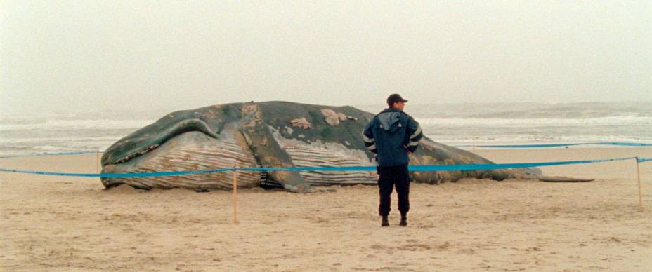 As Mil e uma Noites, Volume 1 - O Inquieto: filme português é dirigido por Miguel Gomes As Mil e uma Noites, Volume 1 - O Inquieto: filme português é dirigido por Miguel Gomes