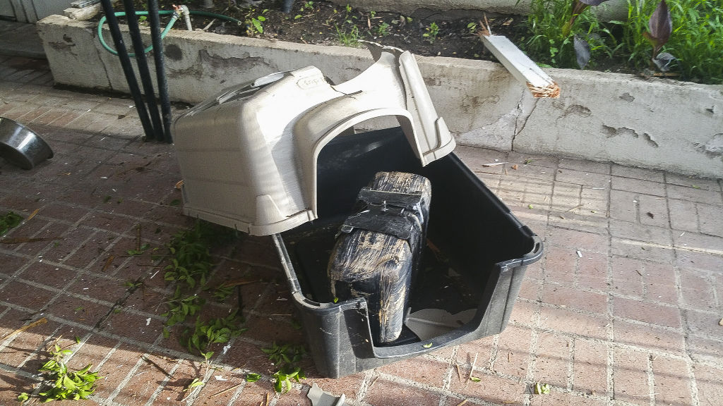 Pacote com maconha cai do céu e destrói casa de cachorro