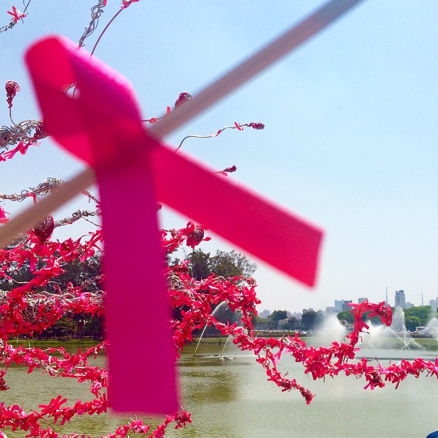 ONG faz mamografia grátis neste domingo (9) na Assembleia Legislativa