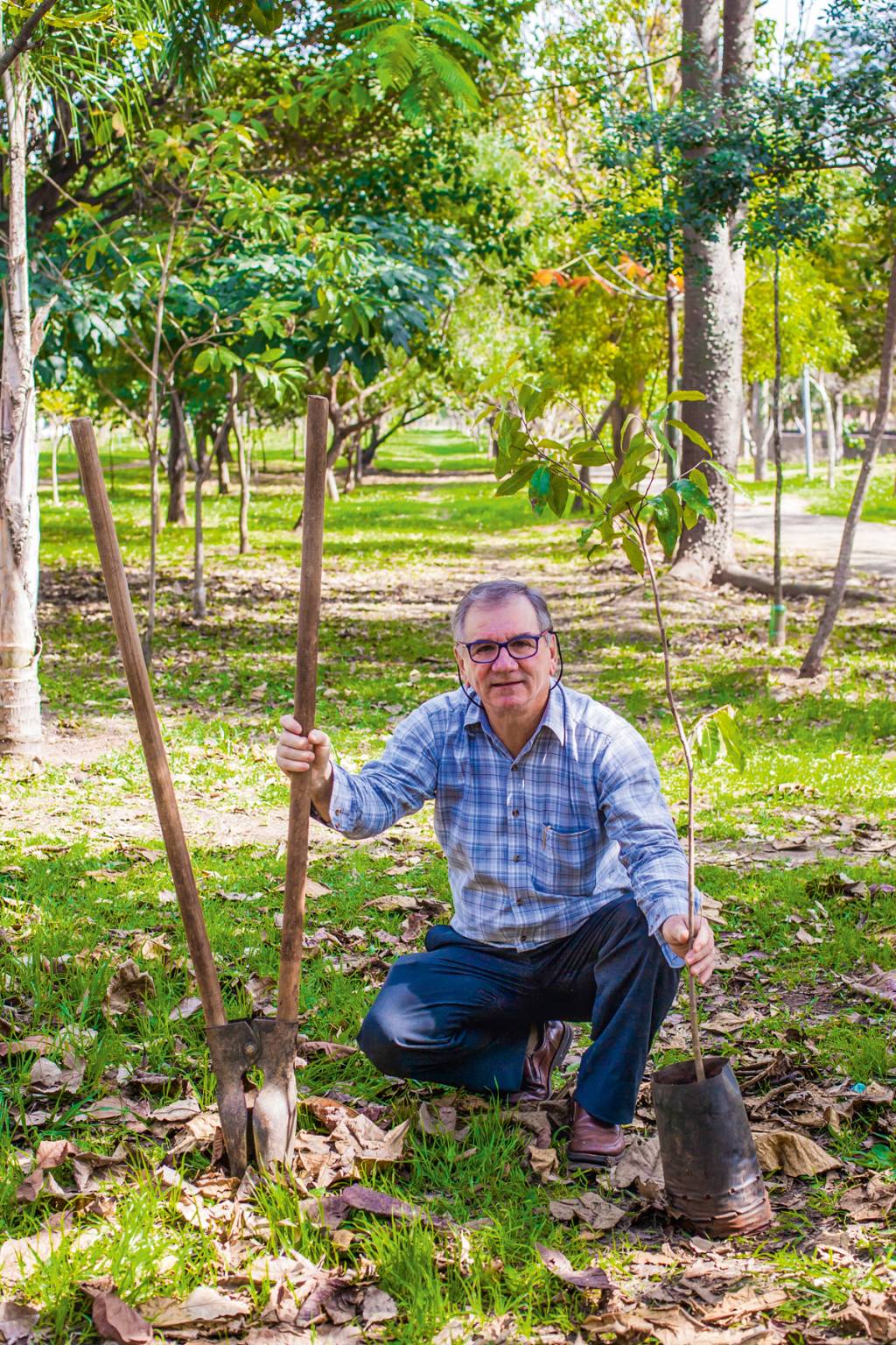 Em doze anos, empresário planta 18 000 árvores em margens de córrego