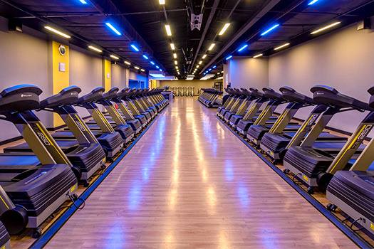 smartfit