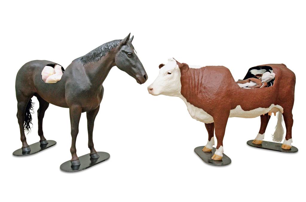 Universidade usa cobaias de silicone