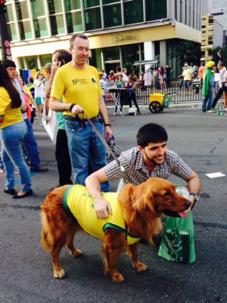 Vários pets acompanham as famílias na manifestação, adornados com adereços patriotas ou contra o PT