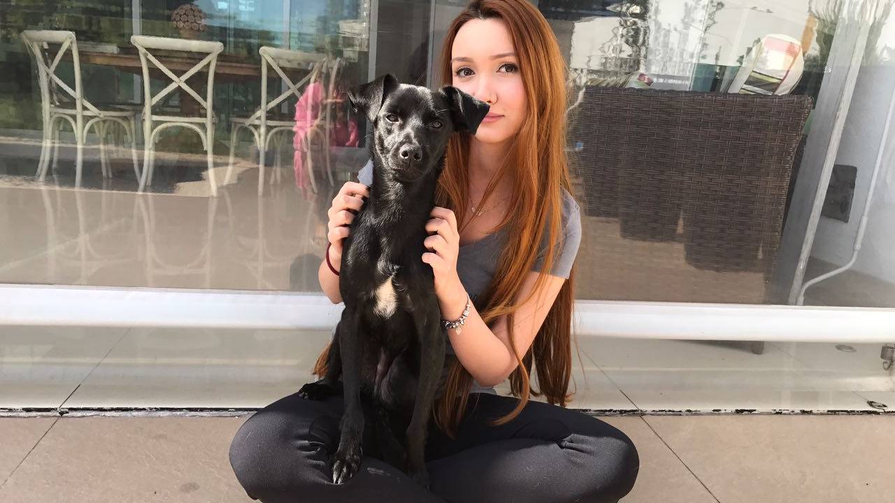 Natalie Spiller resgate cachorro 2