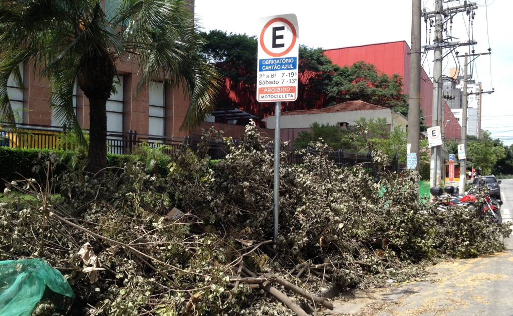 Árvores e galhos caídos continuam pelas ruas de SP após temporal