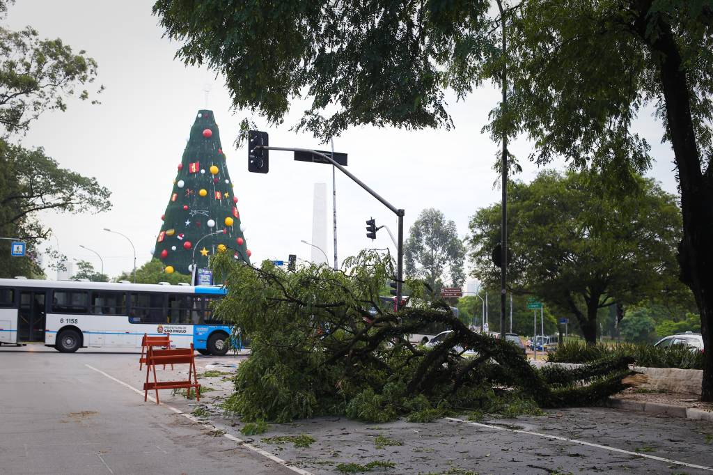 Mais de 400 árvores caíram na cidade desde segunda-feira