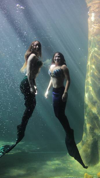 Elas também fazem performances para a garotada Elas também fazem performances para a garotada