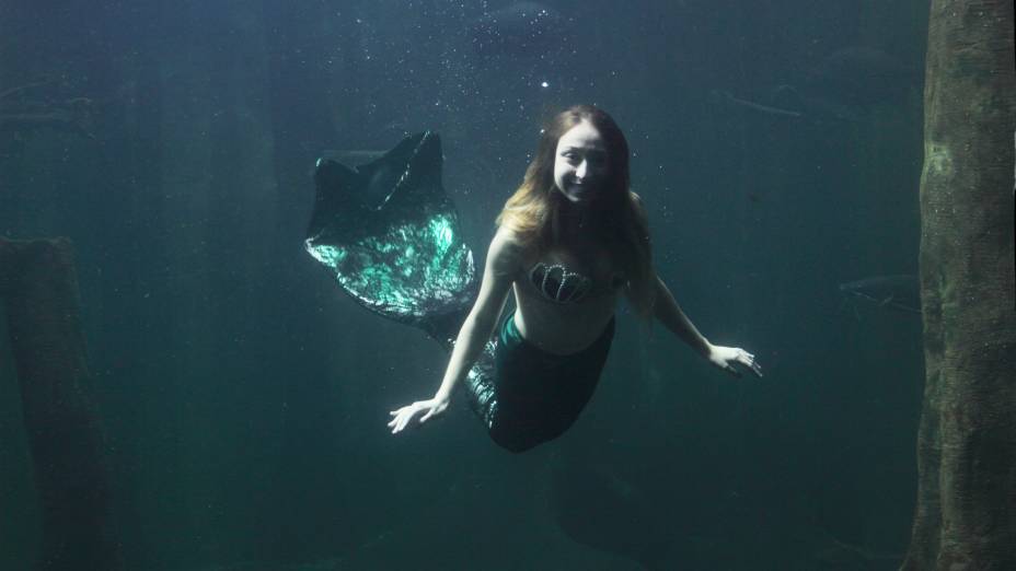 Última semana: a atração fica até o dia 31 de janeiro Última semana: a atração fica até o dia 31 de janeiro