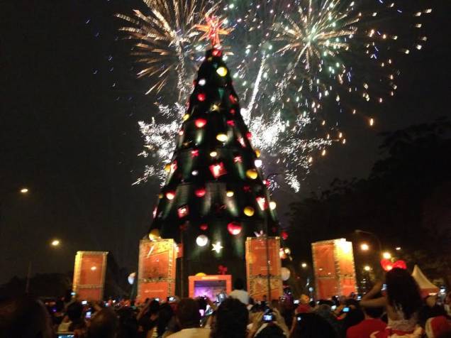 Inauguração da árvore de Natal do Ibirapuera - 8/12/13 Inauguração da árvore de Natal do Ibirapuera - 8/12/13