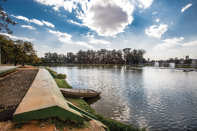 Os mistérios dos lagos do Ibirapuera