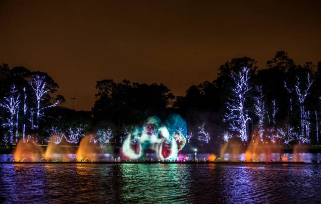 Fonte do Parque do Ibirapuera: público chega até 2 horas antes para garantir um bom lugar no gramado Fonte do Parque do Ibirapuera: público chega até 2 horas antes para garantir um bom lugar no gramado