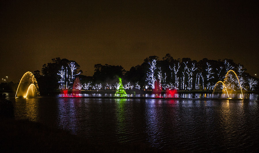 Natal Iluminado - Fonte do Parque do Ibirapuera