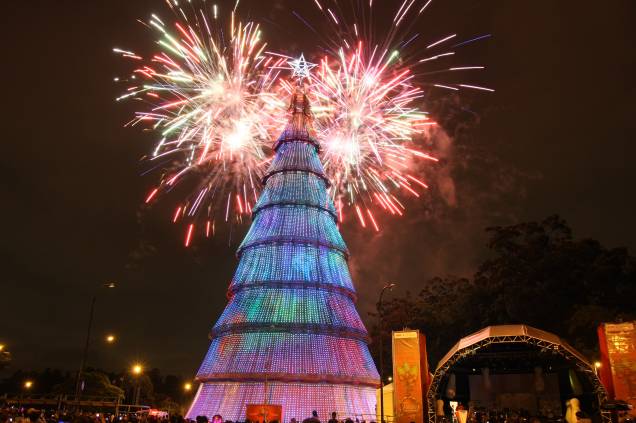 Natal Iluminado - Árvore do Parque do Ibirapuera em 2010 Natal Iluminado - Árvore do Parque do Ibirapuera em 2010