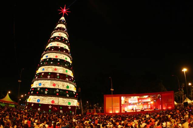 Natal Iluminado - Árvore do Parque do Ibirapuera em 2008 Natal Iluminado - Árvore do Parque do Ibirapuera em 2008