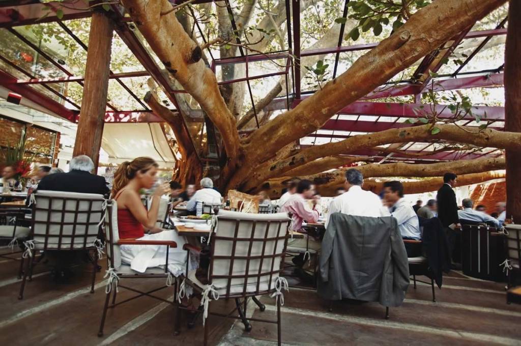 Restaurantes para almoçar ou jantar em um jardim