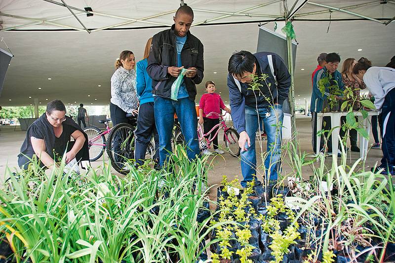 Prefeitura amplia a distribuição gratuita de mudas de plantas