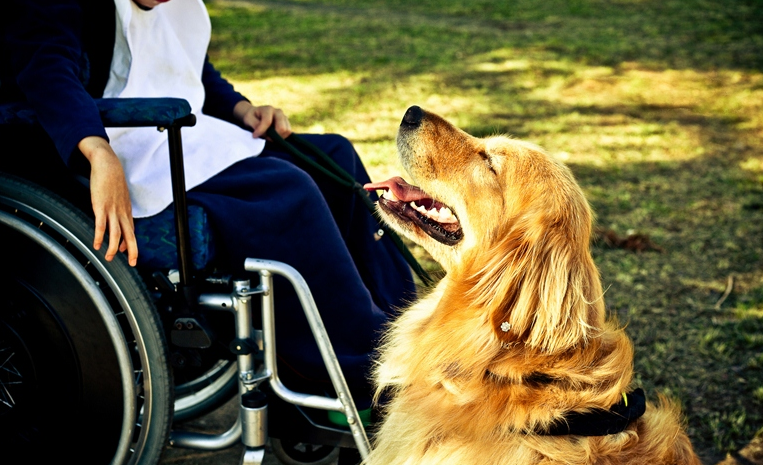 A golden retriever Lisa ao lado de paciente com paralisia cerebral na Fraternidade Irmã Clara, na Barra Funda