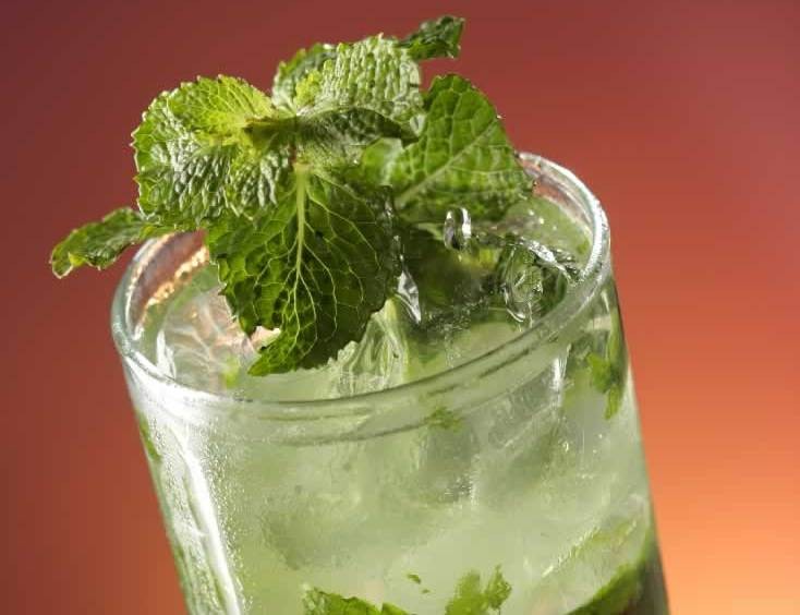 Barman ensina a preparar um mojito clássico