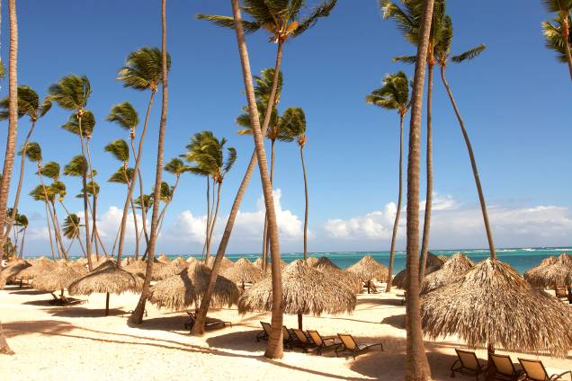 Sombra e água fresca: o coqueiral à beira-mar do resort Paradisus Palma Real, na Praia de Bávaro Sombra e água fresca: o coqueiral à beira-mar do resort Paradisus Palma Real, na Praia de Bávaro