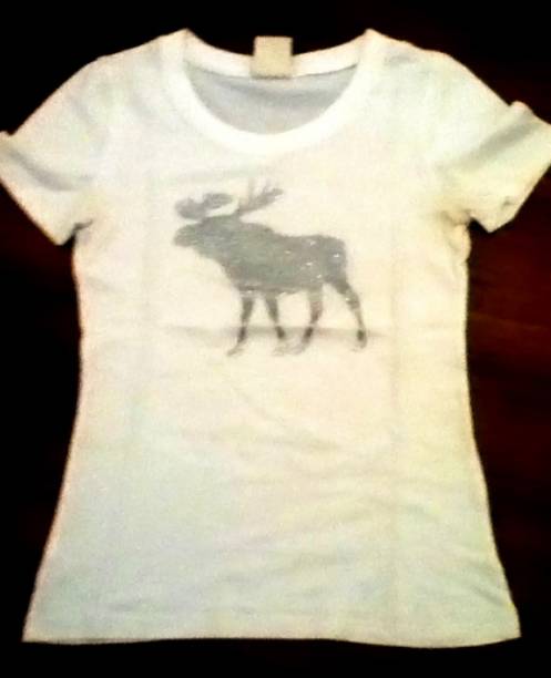 Camiseta da Abercrombie. Preço: R$ 5,00 Camiseta da Abercrombie. Preço: R$ 5,00