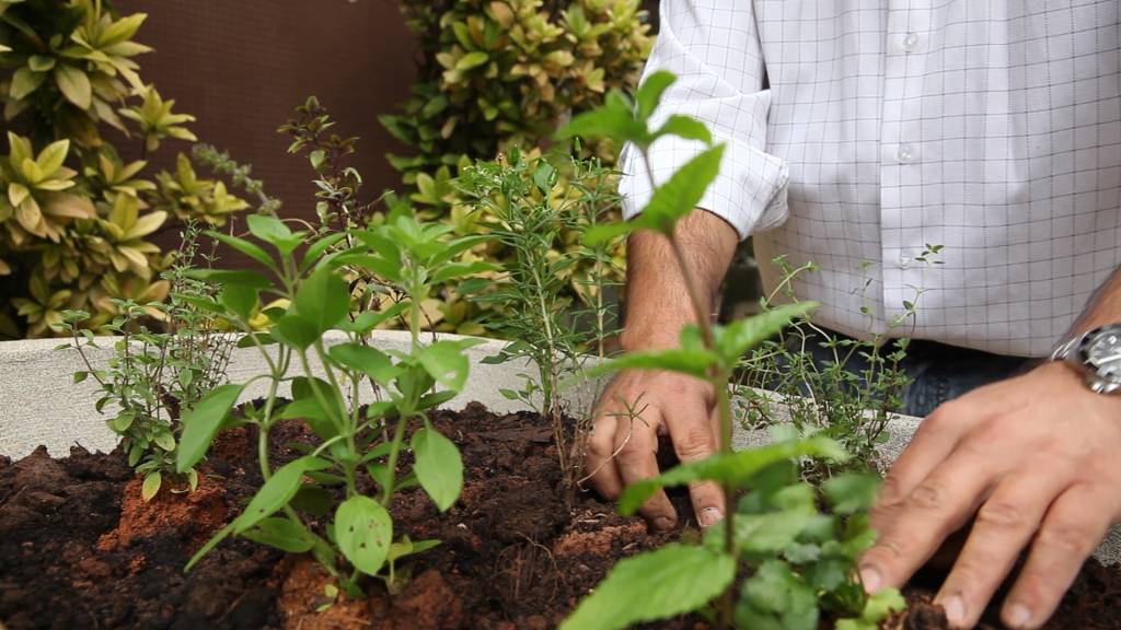 Como fazer compostagem e cultivar uma horta em casa