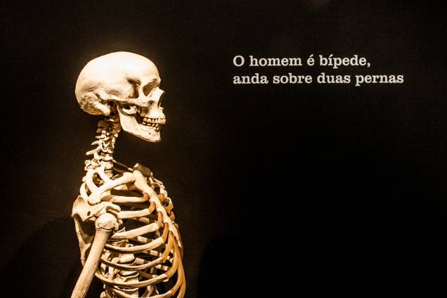 A mostra acontece em uma nova área do museu. Antes inexploradas, as arcadas subterrâneas começaram a ser restauradas em 2012 e somam 5 500 metros quadrados A mostra acontece em uma nova área do museu. Antes inexploradas, as arcadas subterrâneas começaram a ser restauradas em 2012 e somam 5 500 metros quadrados