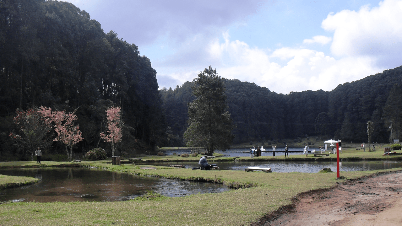 Campos do Jordão - Passeios - Ecoparque Pesca Na Montanha