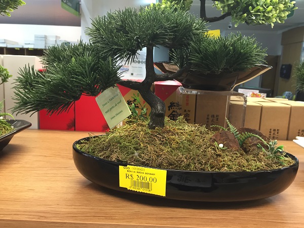 Mini jardim japonês (200 reais)