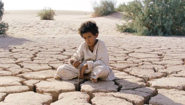 O Lobo do Deserto O Lobo do Deserto