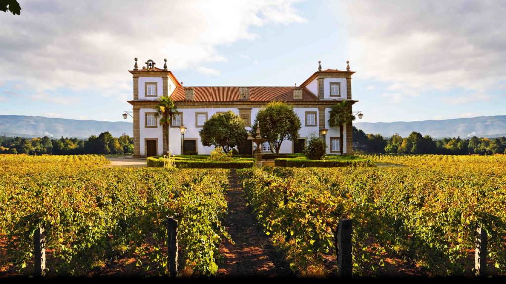 Vinhos verdes: para todas as ocasiões