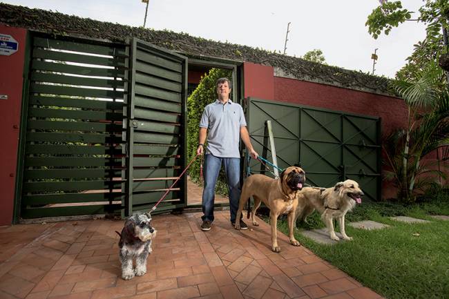 Pit bull de Luize Altenhofen é agredido e caso vai parar na polícia