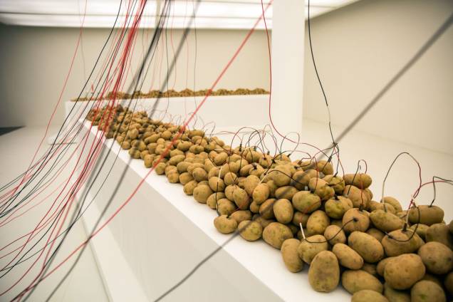 As batatas de Víctor Grippo: tentativas de surpreender e de criar interatividade com o público As batatas de Víctor Grippo: tentativas de surpreender e de criar interatividade com o público