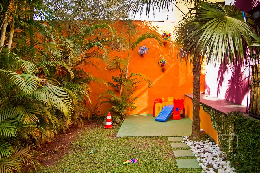 A Cãominhando oferece acompanhamento ao vivo por meio de câmeras espalhadas pela creche