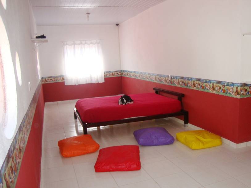 Cão Tour: cama king size e televisão para o bichinho se sentir em casa