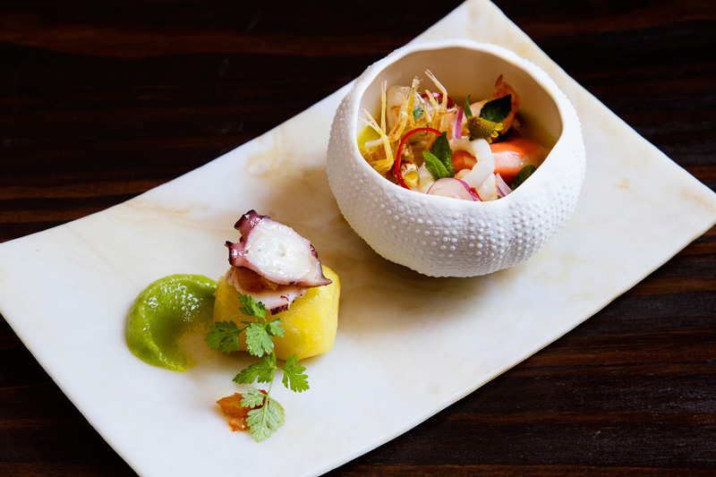 Ceviche de frutos do mar e causa de polvo e mandioquinha