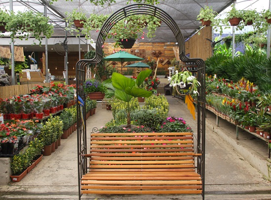 garden.jpeg
