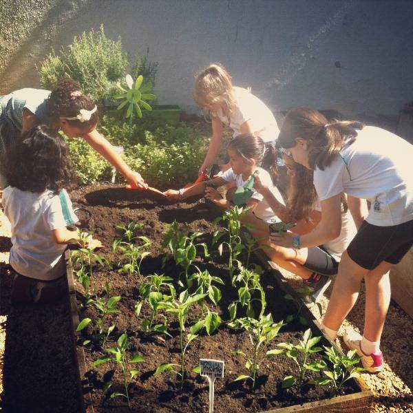 Curso da jardinagem Curso da jardinagem