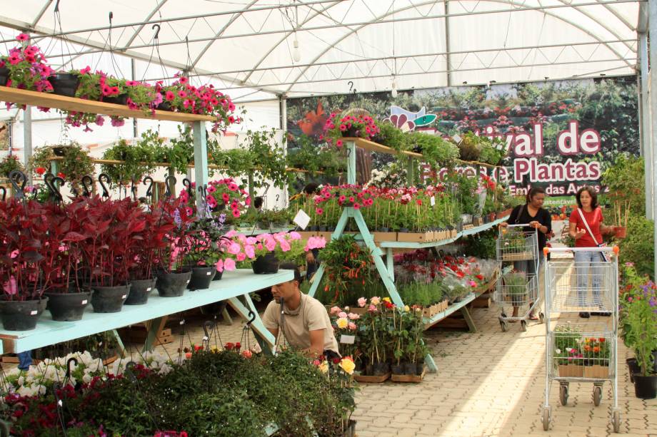 O Festival de Flores e Plantas de Embu das Artes ocorre entre os dias 26 e 28 e setembro O Festival de Flores e Plantas de Embu das Artes ocorre entre os dias 26 e 28 e setembro