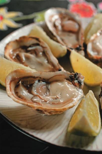 Ostras fresquinhas trazidas de Florianópolis Ostras fresquinhas trazidas de Florianópolis