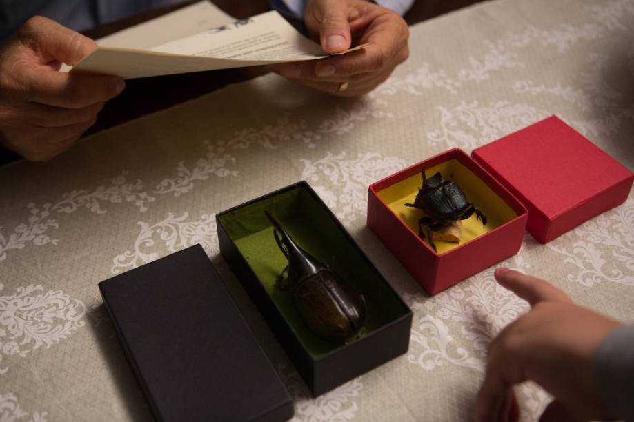 O Escaravelho do Diabo: antes de morrerem, as vítimas recebem um misterioso pacote com um escaravelho O Escaravelho do Diabo: antes de morrerem, as vítimas recebem um misterioso pacote com um escaravelho