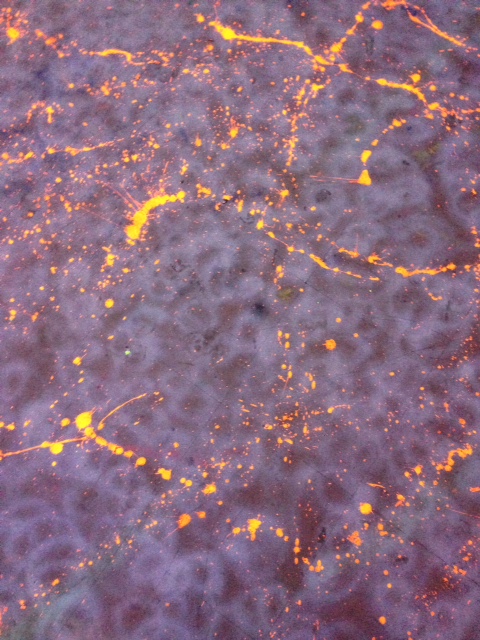 Obras carecem de identificação Obras carecem de identificação