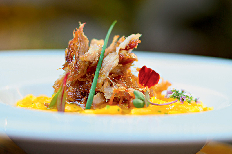 Risoto de abóbora e costelinha: parte do menu Risoto de abóbora e costelinha: parte do menu