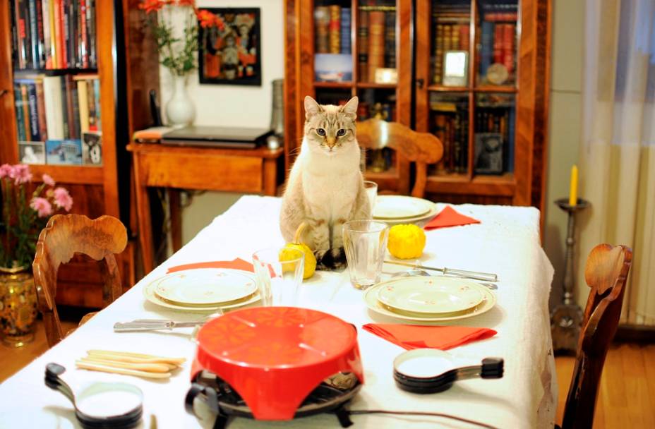 Autorretrato de uma Filha Obediente Autorretrato de uma Filha Obediente