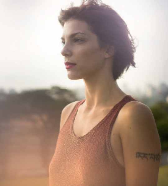 Os Pássaros: Rod Taylor, um clássico de Hitchcock em cópia restaurada Os Pássaros: Rod Taylor, um clássico de Hitchcock em cópia restaurada