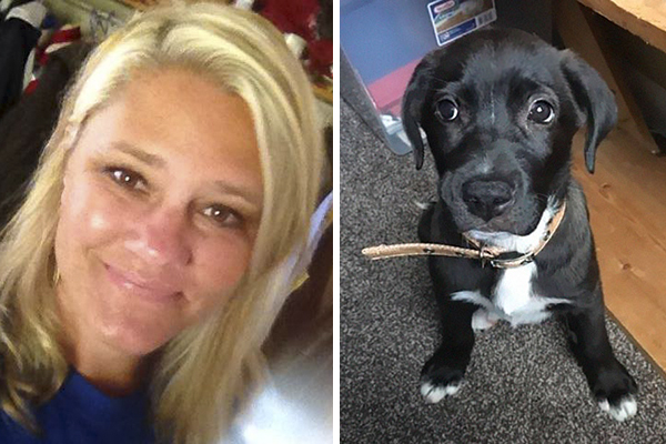 Mulher vê saco de lixo se movendo na estrada, para o carro para ajudar e tem uma surpresa