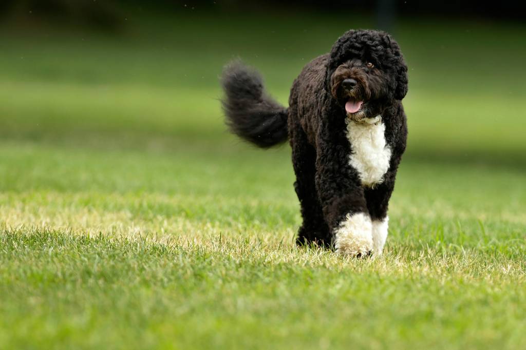 GTY OBAMA DEPARTS WHITE HOUSE FOR ATLANTA A POL GOV USA DC