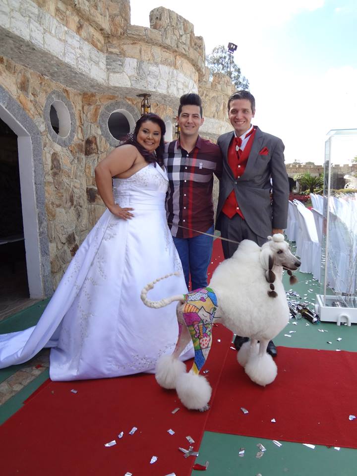 Tosador pinta quadro de Romero Britto em poodle